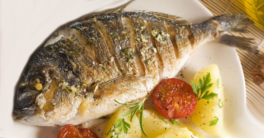 NEDEN RAKI VE BALIK?