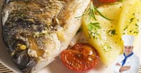 RAKI VE BALIK ÖZDEŞMESİNİN TARİHİ GEÇMİŞİ