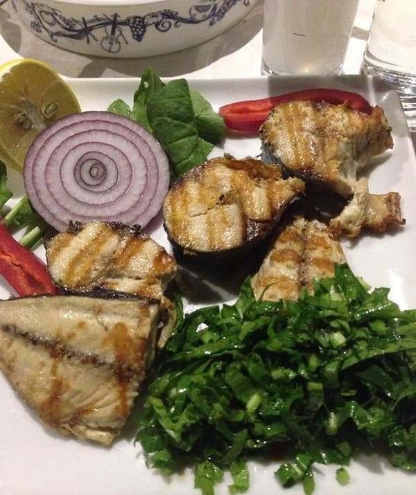 Mustafa Meyhane - 17. Fotoğraf Mustafa Meyhane - 17. Fotoğraf