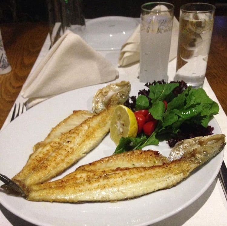 Mustafa Meyhane - 3. Fotoğraf