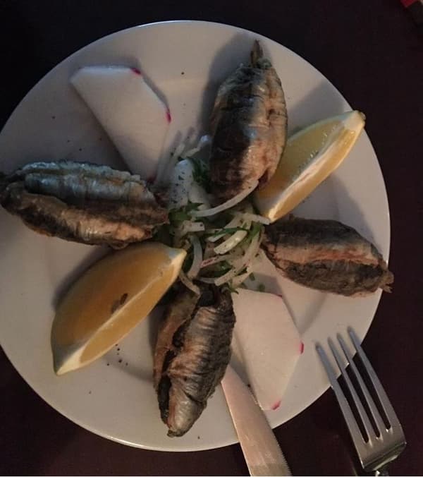 Mustafa Meyhane - 26. Fotoğraf Mustafa Meyhane - 26. Fotoğraf