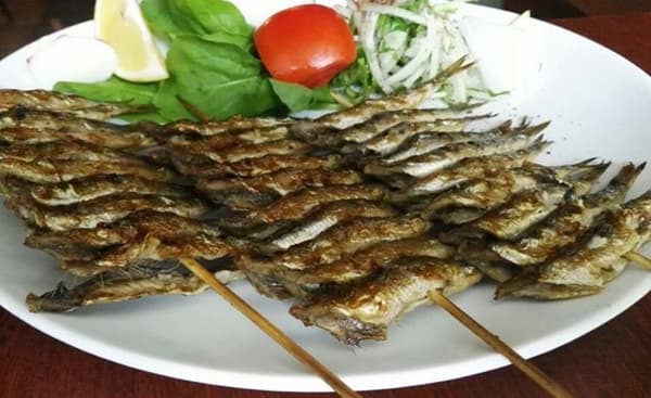 Mustafa Meyhane - 21. Fotoğraf Mustafa Meyhane - 21. Fotoğraf