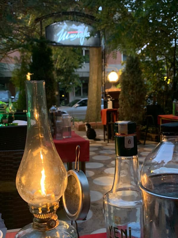 Mustafa Meyhane - 16. Fotoğraf Mustafa Meyhane - 16. Fotoğraf