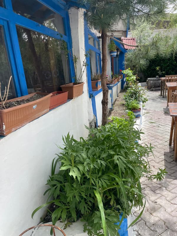 Şairin Yeri - 36. Fotoğraf