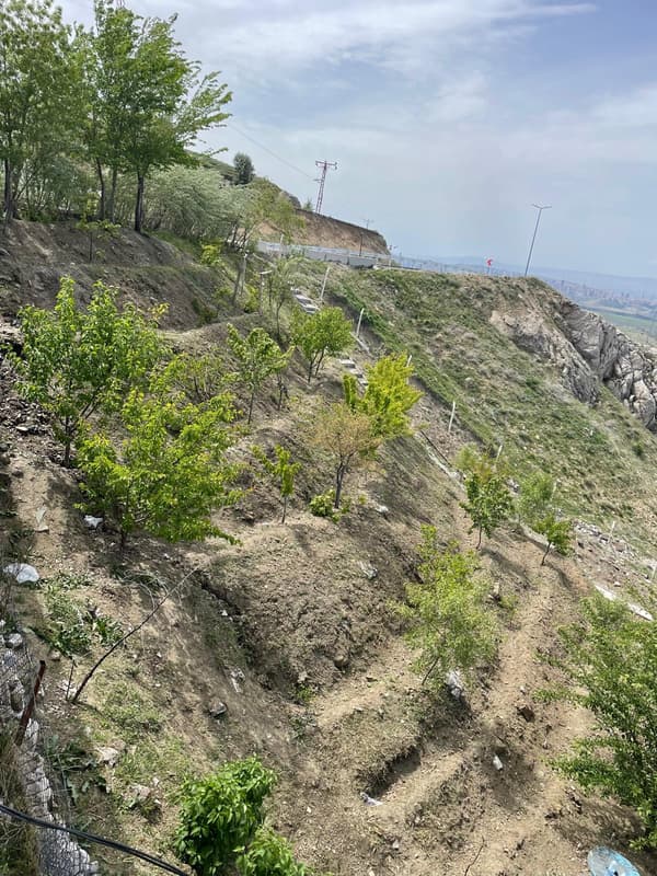 Şairin Yeri - 40. Fotoğraf