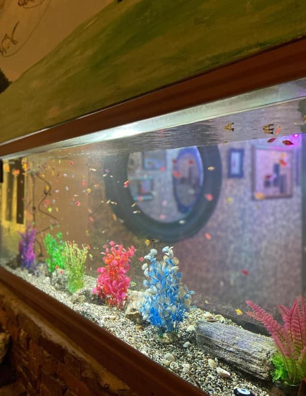 Trio Meyhane - 8. Fotoğraf