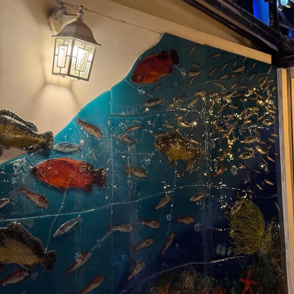 Çiroz Keyif - 9. Fotoğraf Çiroz Keyif - 9. Fotoğraf