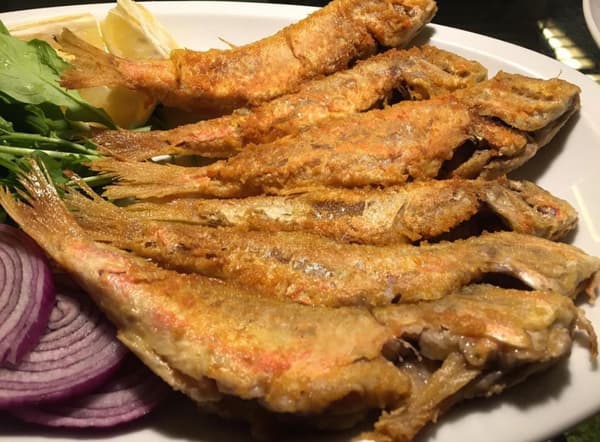 Çiroz Keyif - 7. Fotoğraf Çiroz Keyif - 7. Fotoğraf