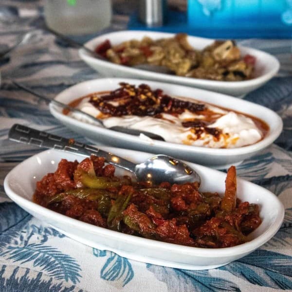 Çiroz Balık Servet - 4. Fotoğraf Çiroz Balık Servet - 4. Fotoğraf